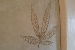 foglia di canapa  in terra cruda della fattoria dell'autosufficienza